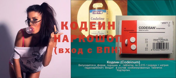 хмурый Аркадак