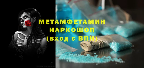 хмурый Аркадак