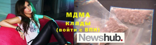 хмурый Аркадак