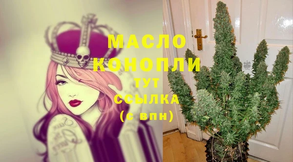 хмурый Аркадак