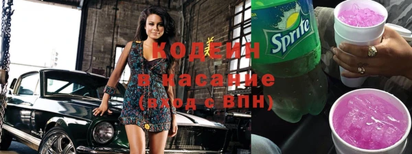 хмурый Аркадак