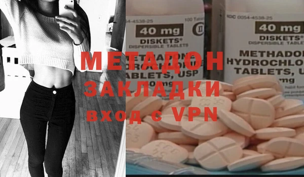 хмурый Аркадак