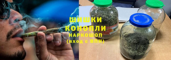 хмурый Аркадак